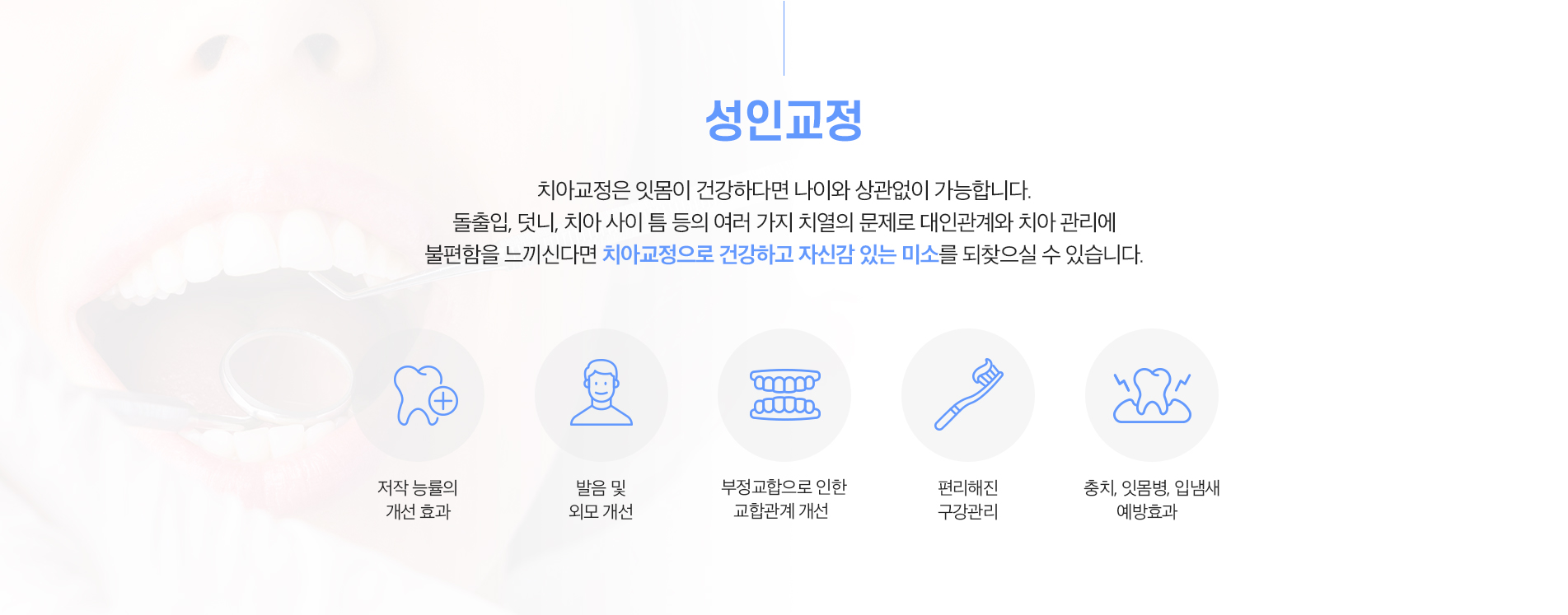 성인교정